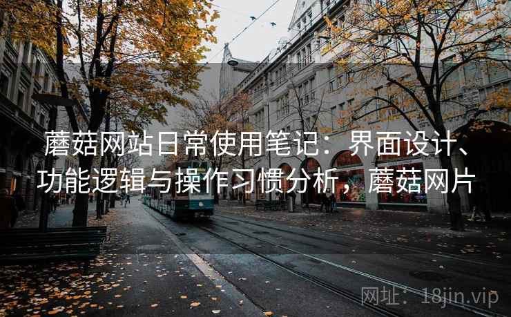 蘑菇网站日常使用笔记:界面设计、功能逻辑与操作习惯分析,蘑菇网片