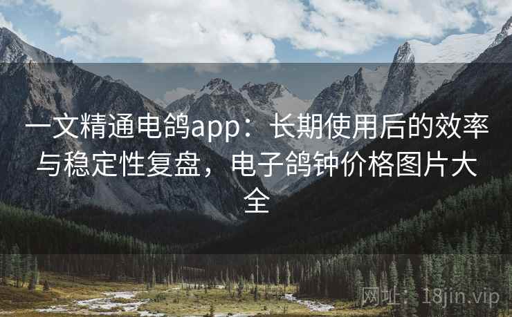 一文精通电鸽app：长期使用后的效率与稳定性复盘，电子鸽钟价格图片大全