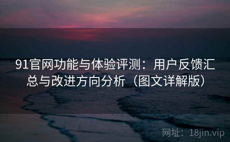 91官网功能与体验评测：用户反馈汇总与改进方向分析（图文详解版）