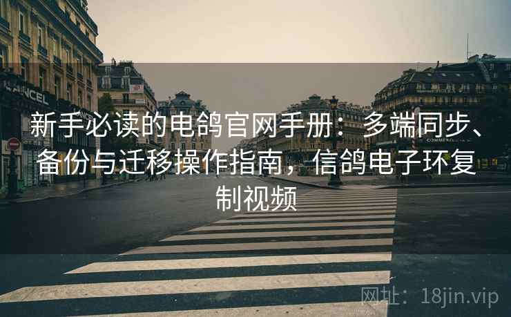 新手必读的电鸽官网手册：多端同步、备份与迁移操作指南，信鸽电子环复制视频