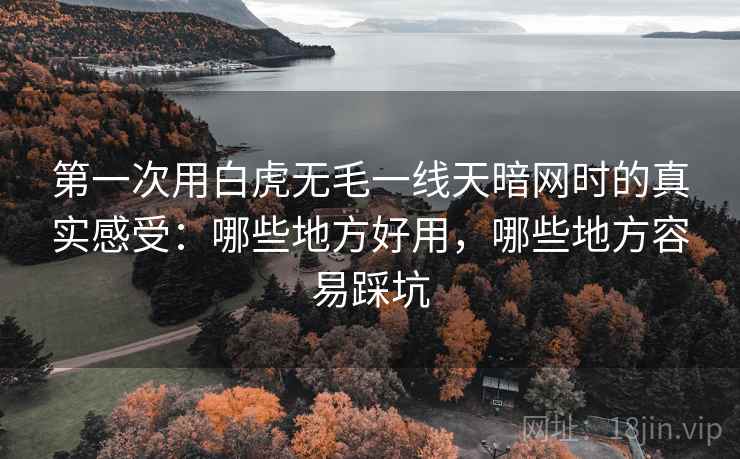 第一次用白虎无毛一线天暗网时的真实感受:哪些地方好用,哪些地方容易踩坑