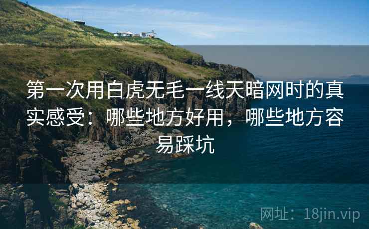 第一次用白虎无毛一线天暗网时的真实感受：哪些地方好用，哪些地方容易踩坑