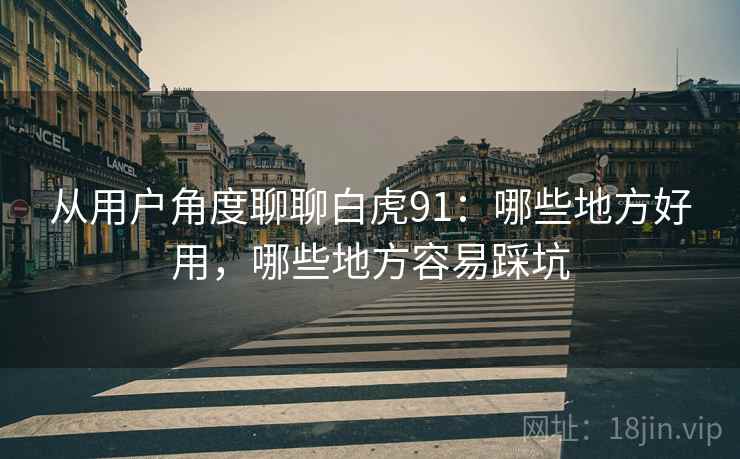 从用户角度聊聊白虎91:哪些地方好用,哪些地方容易踩坑