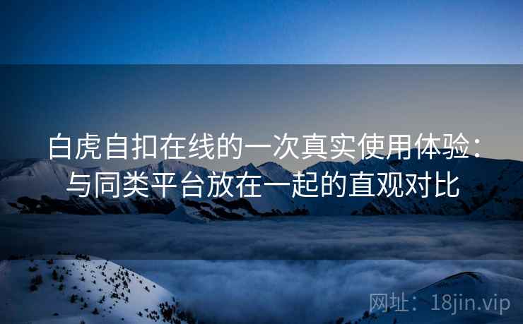 白虎自扣在线的一次真实使用体验:与同类平台放在一起的直观对比
