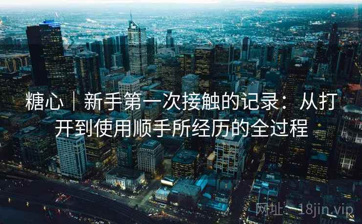 糖心|新手第一次接触的记录:从打开到使用顺手所经历的全过程