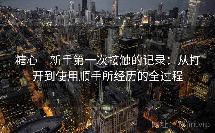 糖心|新手第一次接触的记录:从打开到使用顺手所经历的全过程