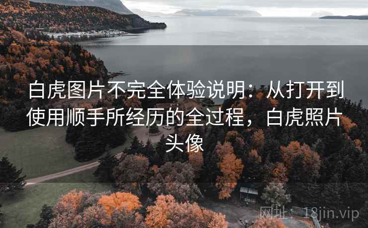 白虎图片不完全体验说明:从打开到使用顺手所经历的全过程,白虎照片头像