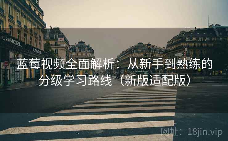 蓝莓视频全面解析:从新手到熟练的分级学习路线(新版适配版)