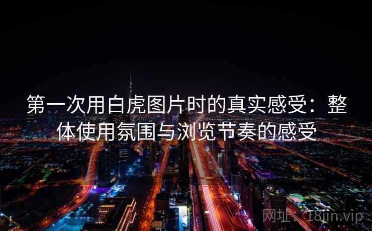 第一次用白虎图片时的真实感受：整体使用氛围与浏览节奏的感受