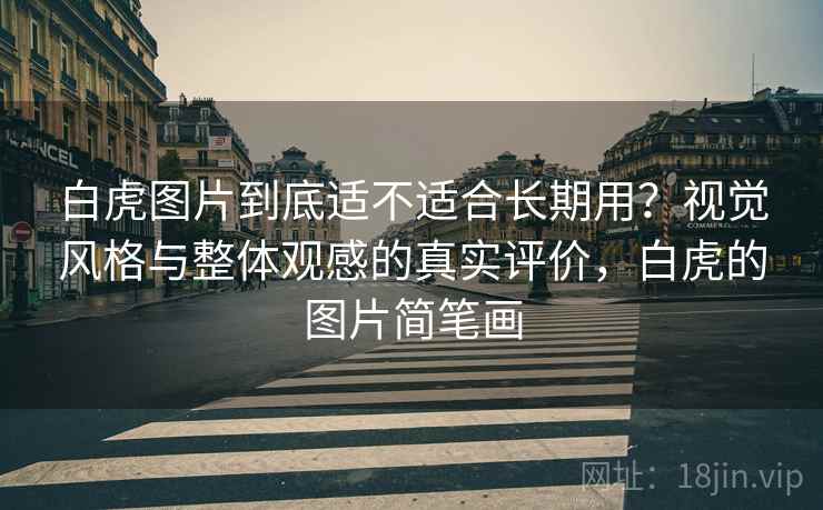 白虎图片到底适不适合长期用？视觉风格与整体观感的真实评价，白虎的图片简笔画