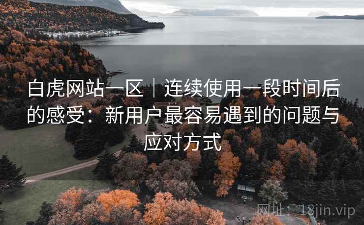 白虎网站一区｜连续使用一段时间后的感受：新用户最容易遇到的问题与应对方式